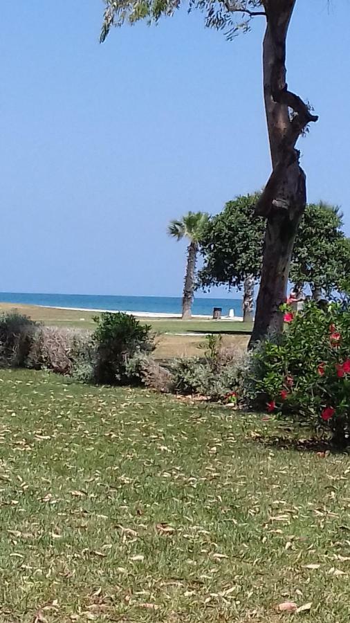 Apartamento Marina Dor 1A Linea Magic World Oropesa del Mar Buitenkant foto